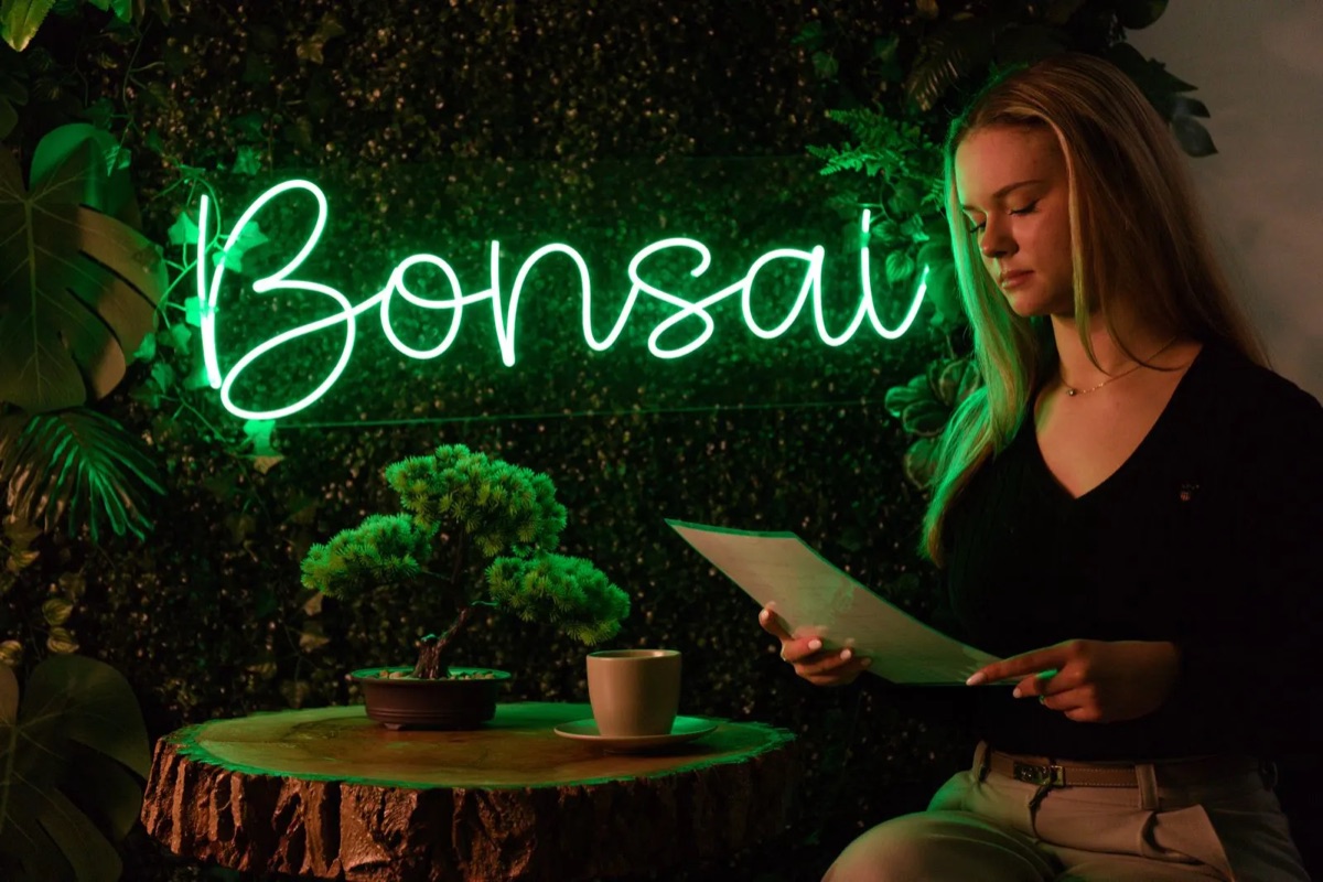Recepce salonu Bonsai s neonovým nápisem a bonsají
